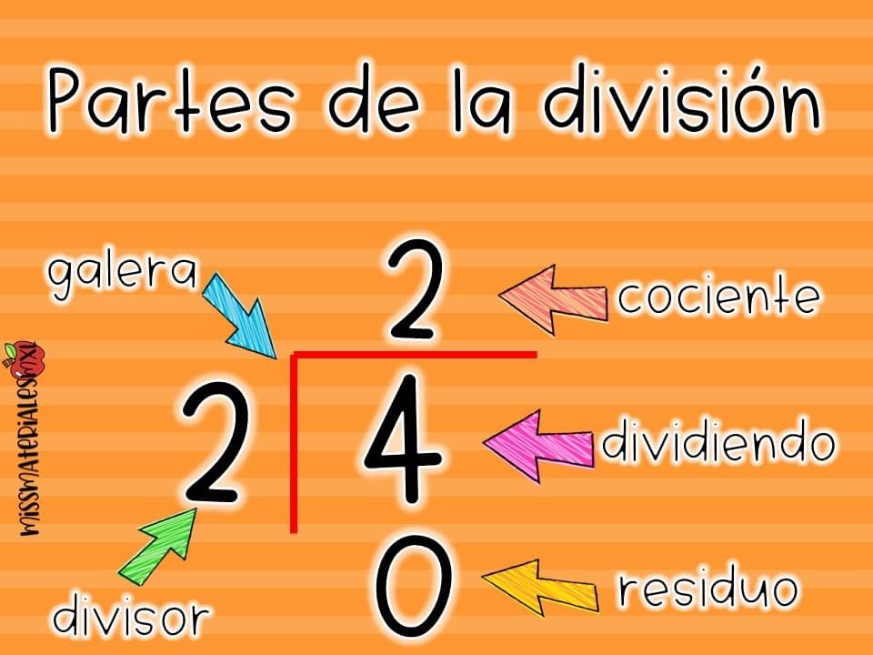 Concepto de división